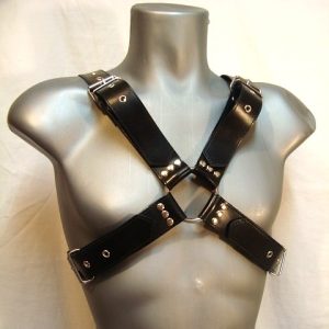 Wide Leather Buckle Harness